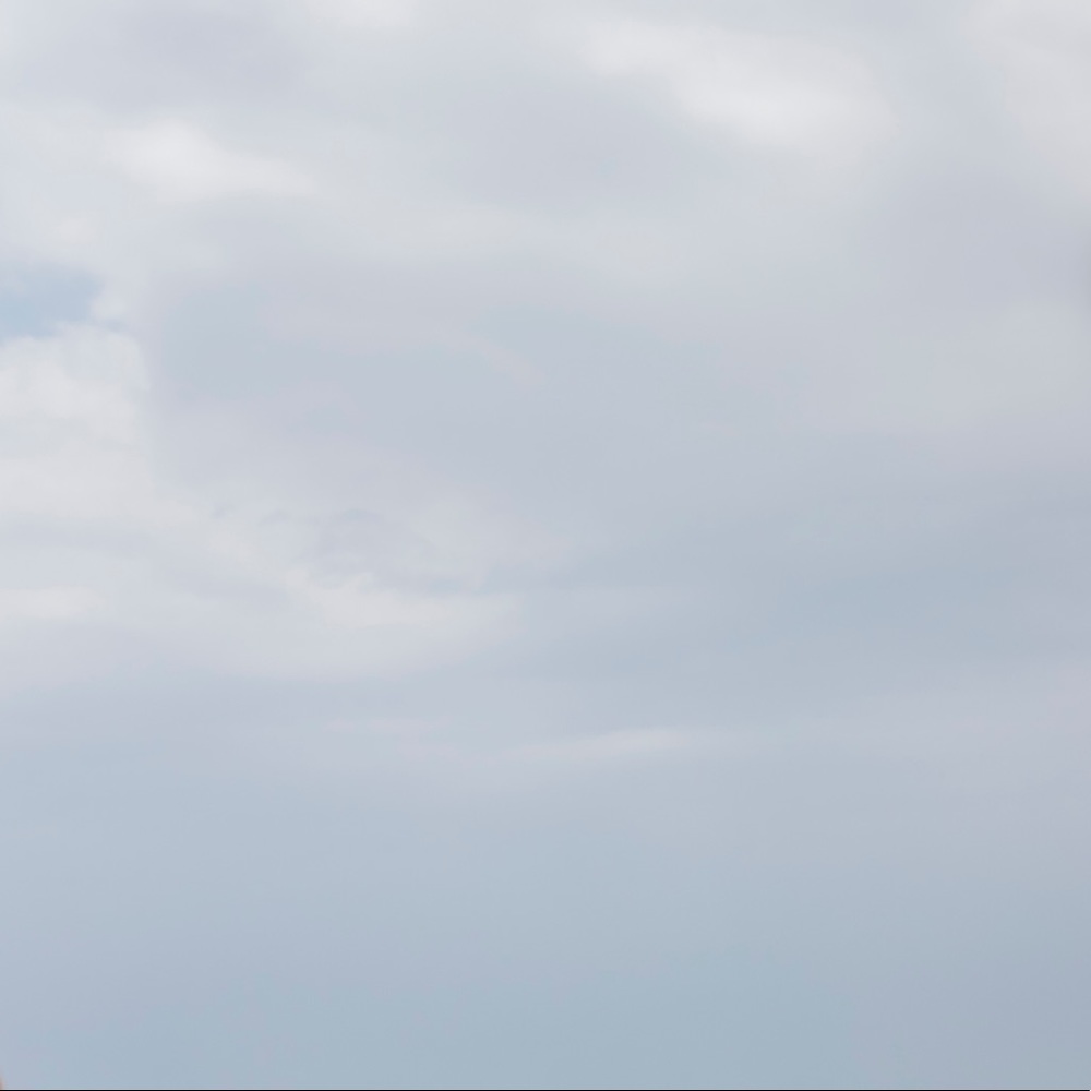 Meet your Posher, Austin